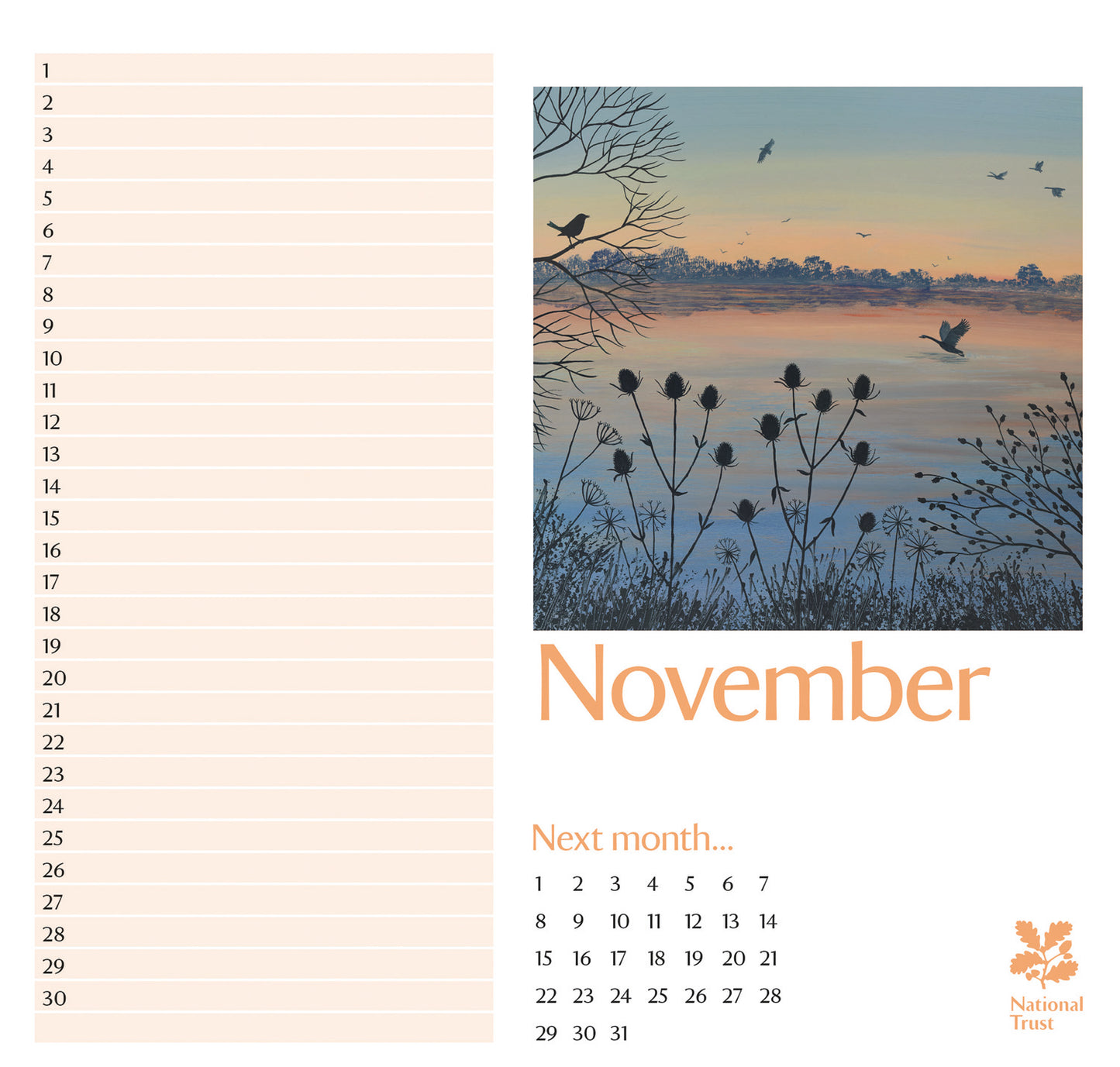 National Trust, Jo Grundy Birthday Midi Calendar 2027 (PFP)