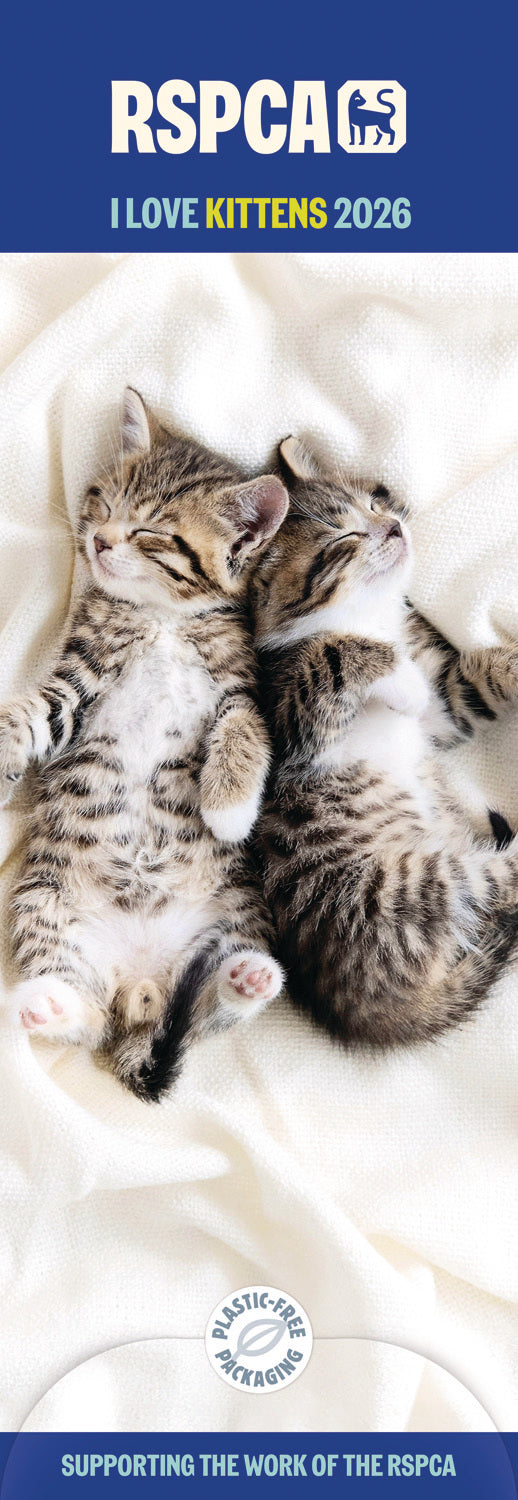 RSPCA, I Love Kittens Slim Calendar 2026 Otter House