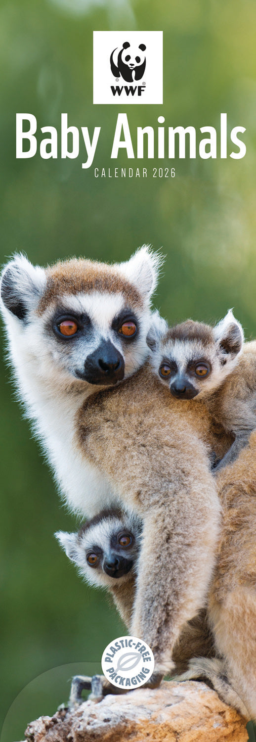 WWF, Baby Animals Slim Calendar 2026 Otter House WWF, Baby Animals Slim Calendar 2026 Otter House