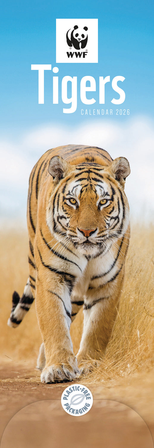 WWF, Tigers Slim Calendar 2026 Otter House