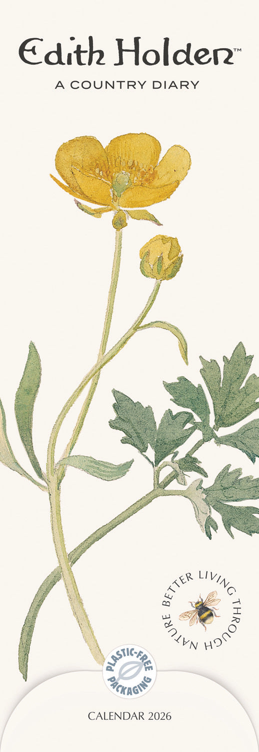 Country Diary, Edith Holden Slim Calendar 2026 Otter House