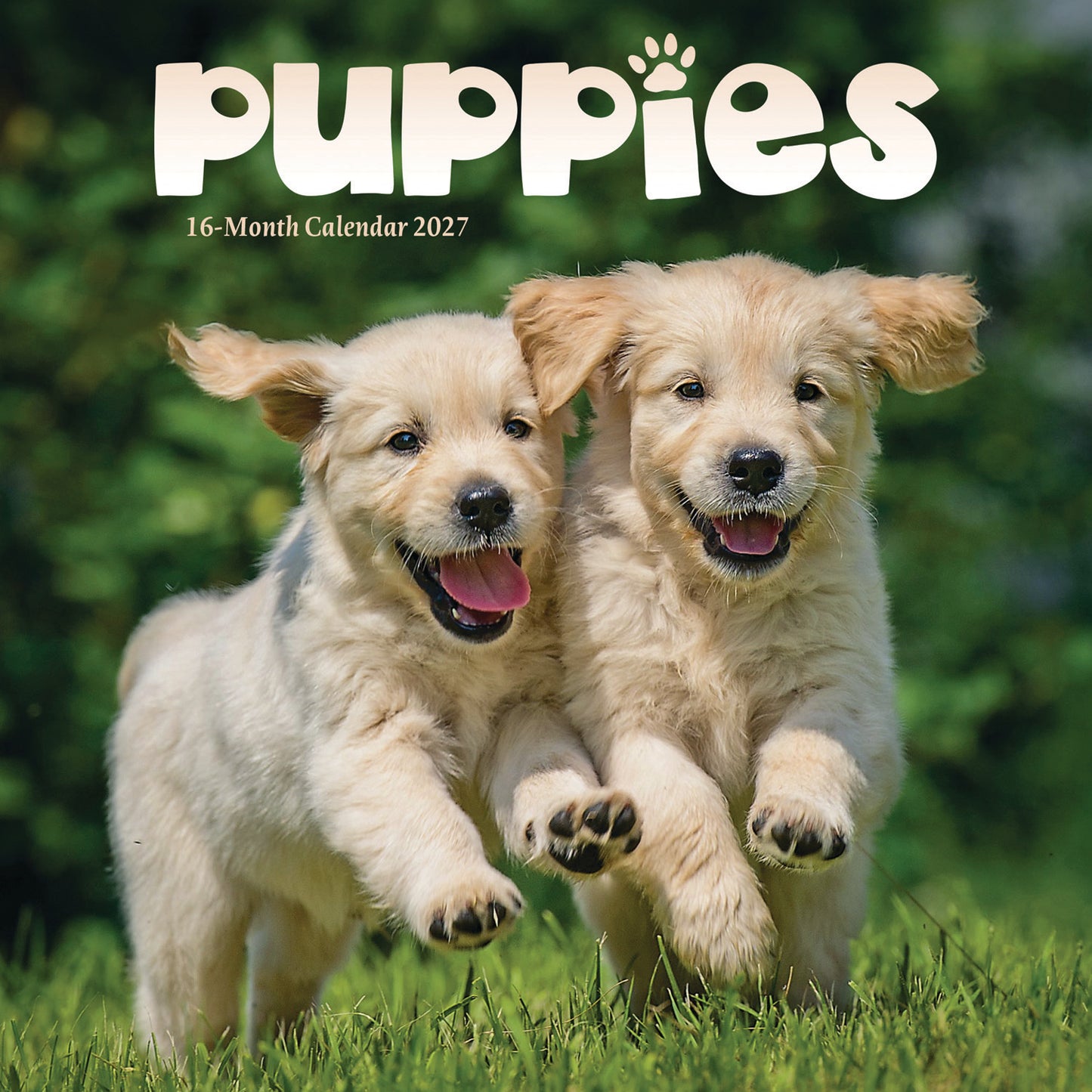 Puppies Mini Calendar 2027