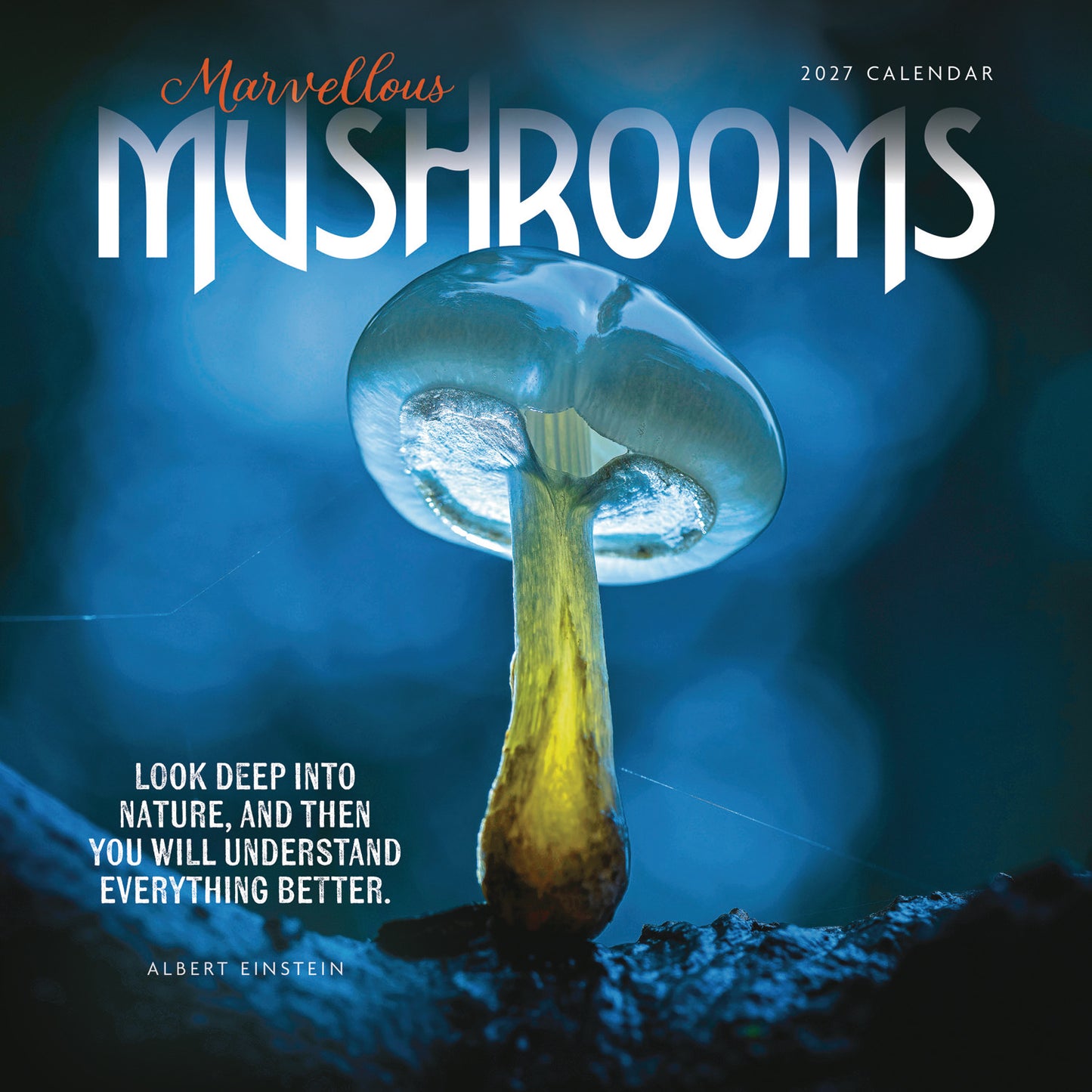 Marvellous Mushrooms Wall Calendar 2027
