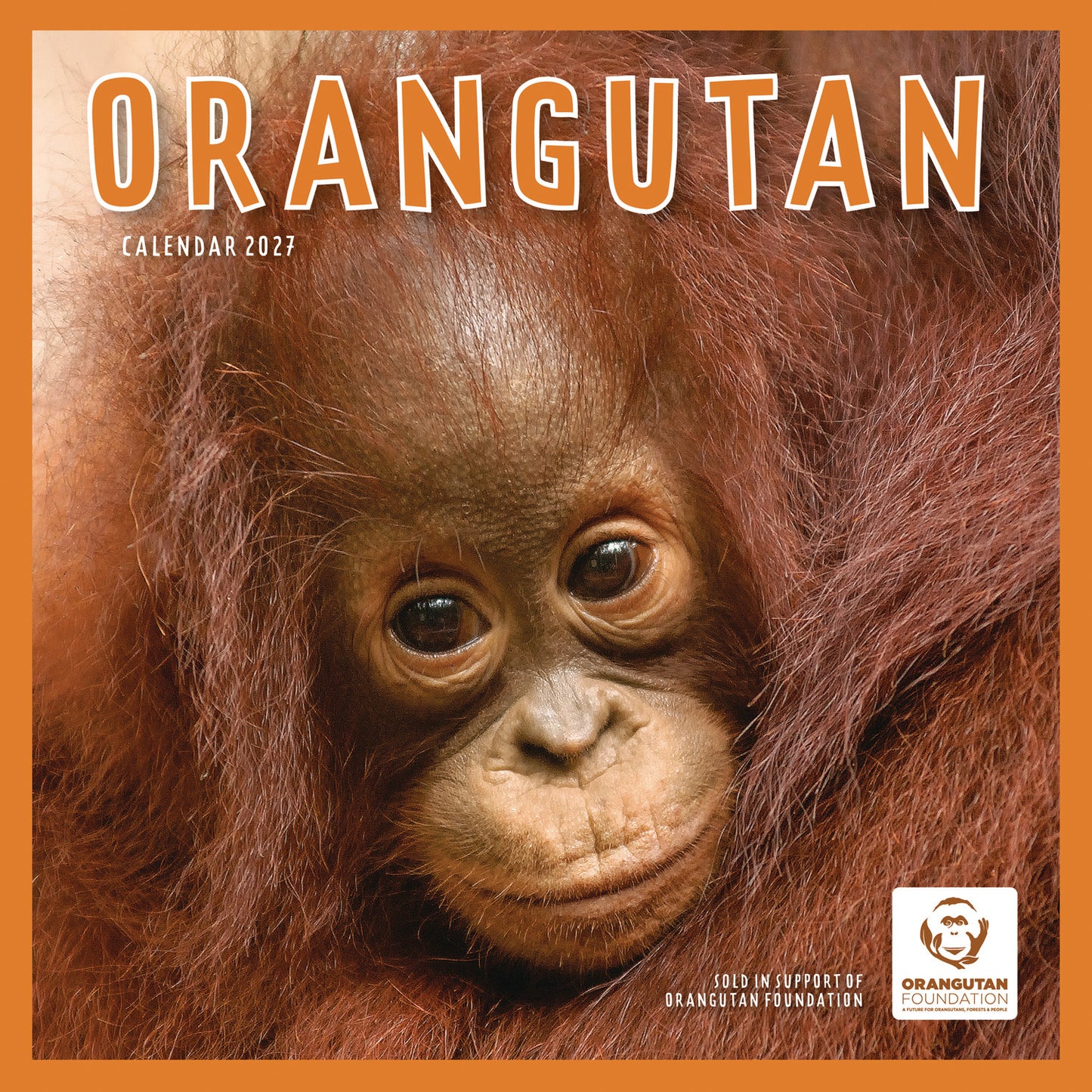 Orangutan Wall Calendar 2027