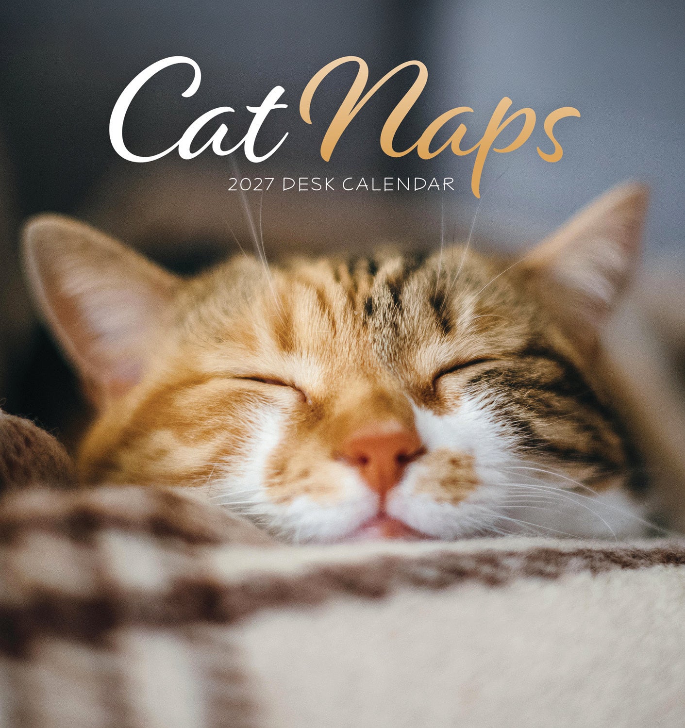 Cat Naps Easel Calendar 2027