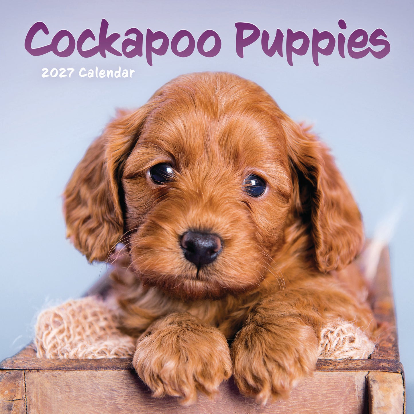Cockapoo Puppies Mini Calendar 2027
