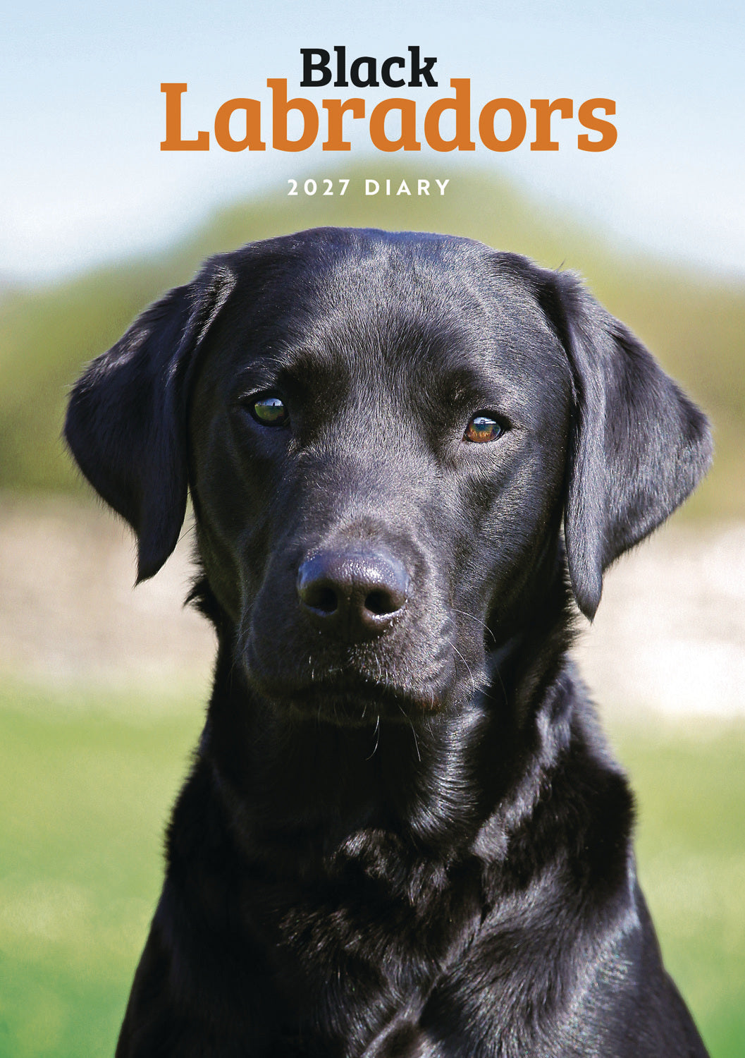 Labrador Retrievers Black A5 Diary 2027