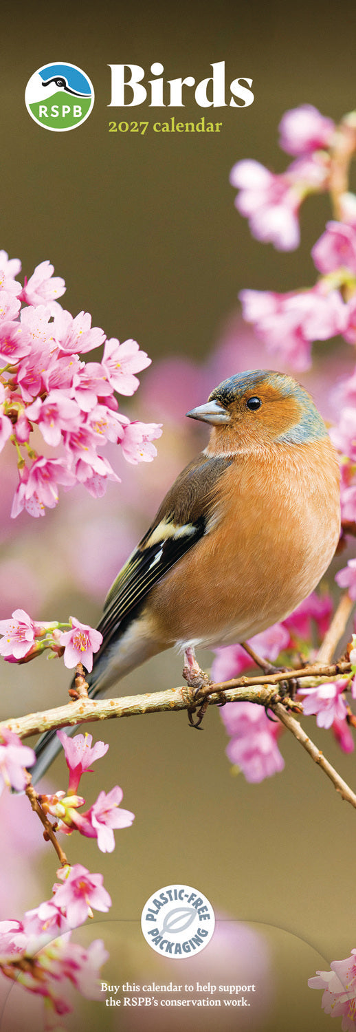 Birds RSPB Slim Calendar 2027