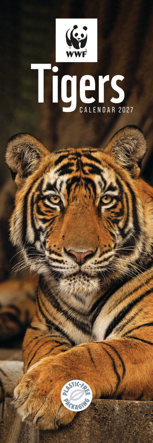 Tigers WWF Slim Calendar 2027