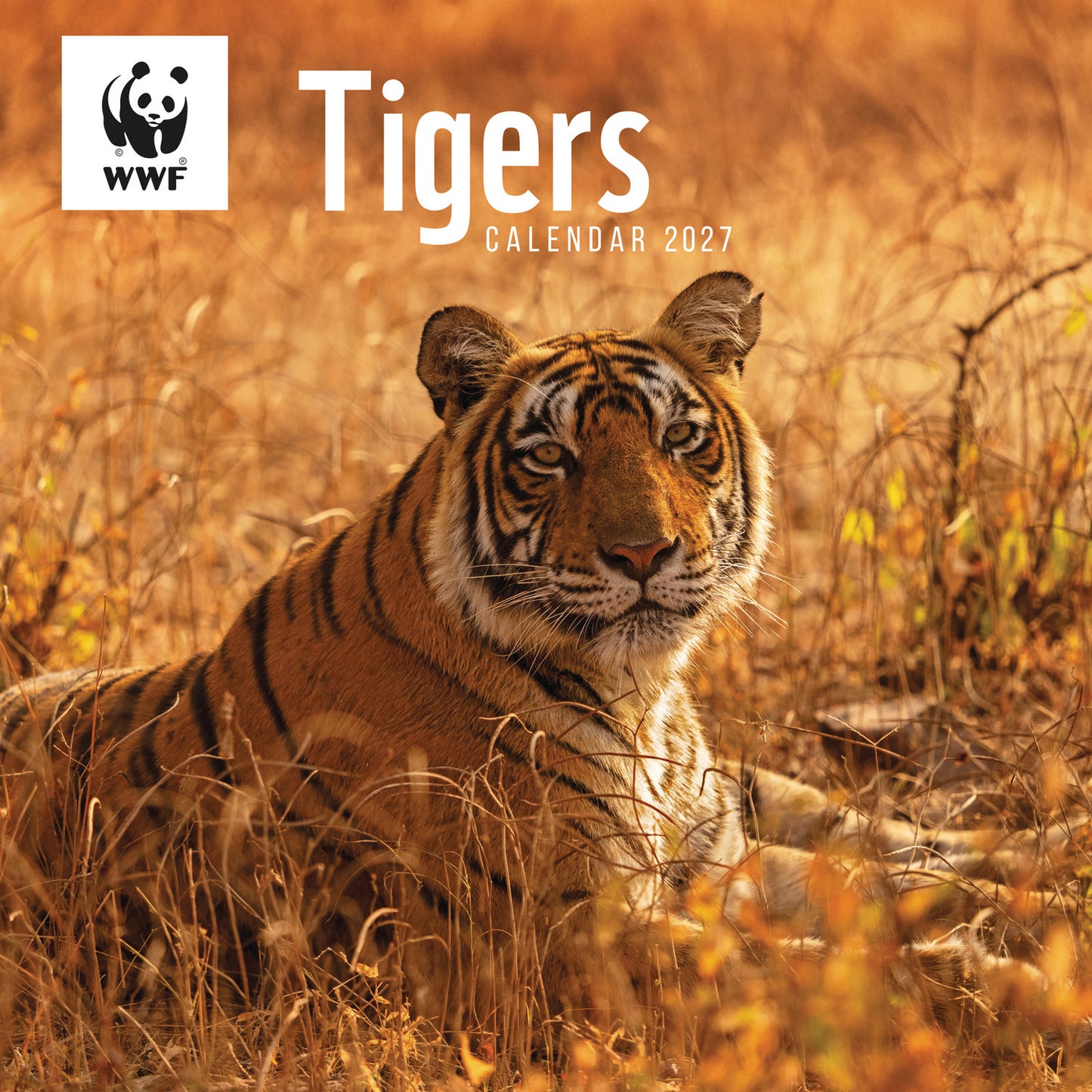 Tigers WWF Wall Calendar 2027