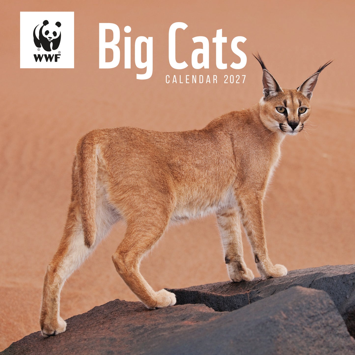 Big Cats WWF Wall Calendar 2027