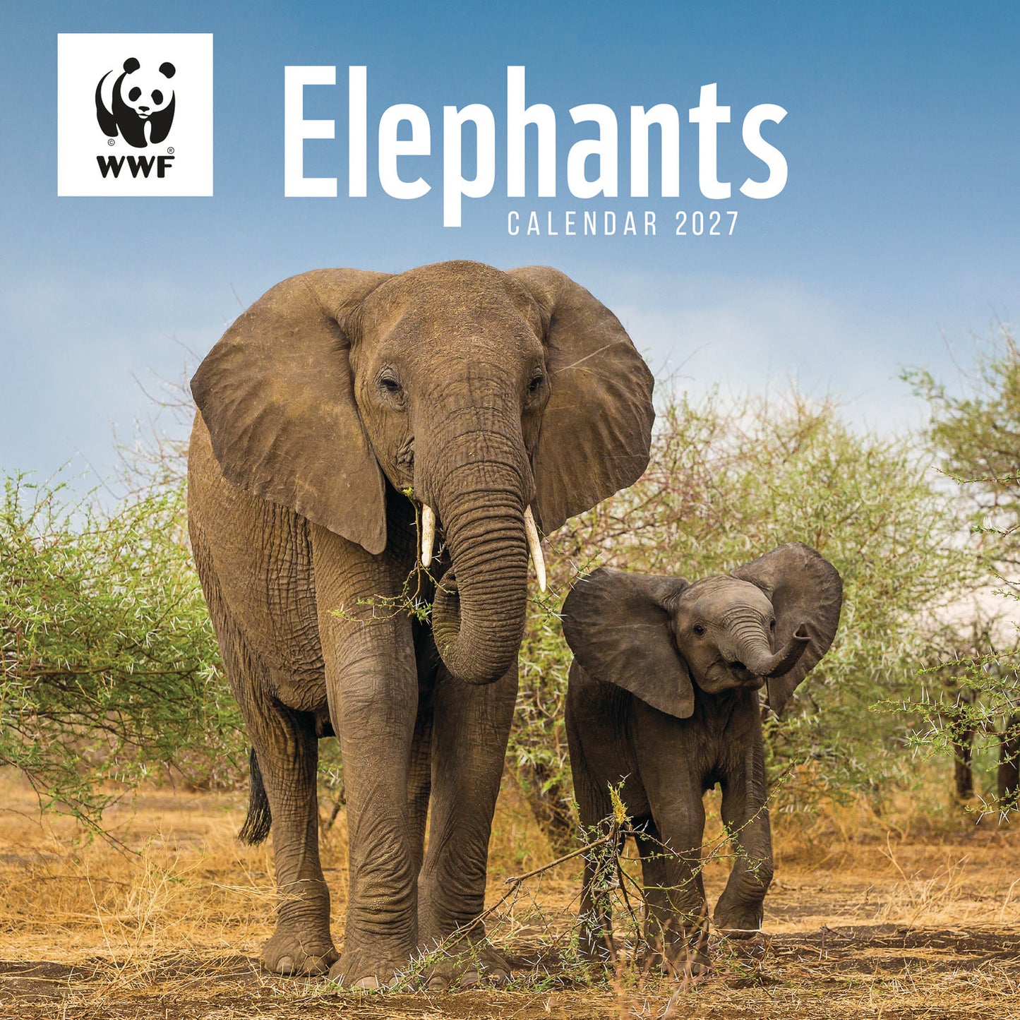 Elephants WWF Wall Calendar 2027