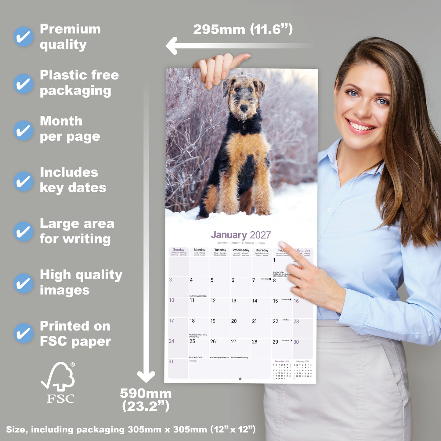 Airedale Terrier Wall Calendar 2027