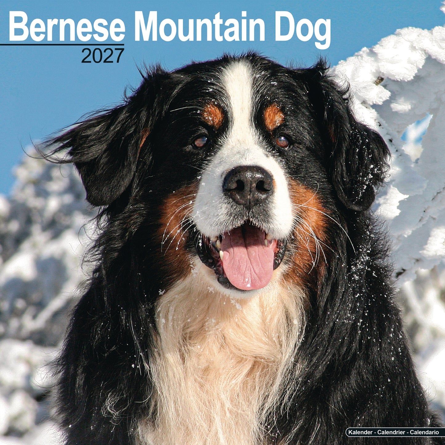 Bernese Mountain Dog Wall Calendar 2027