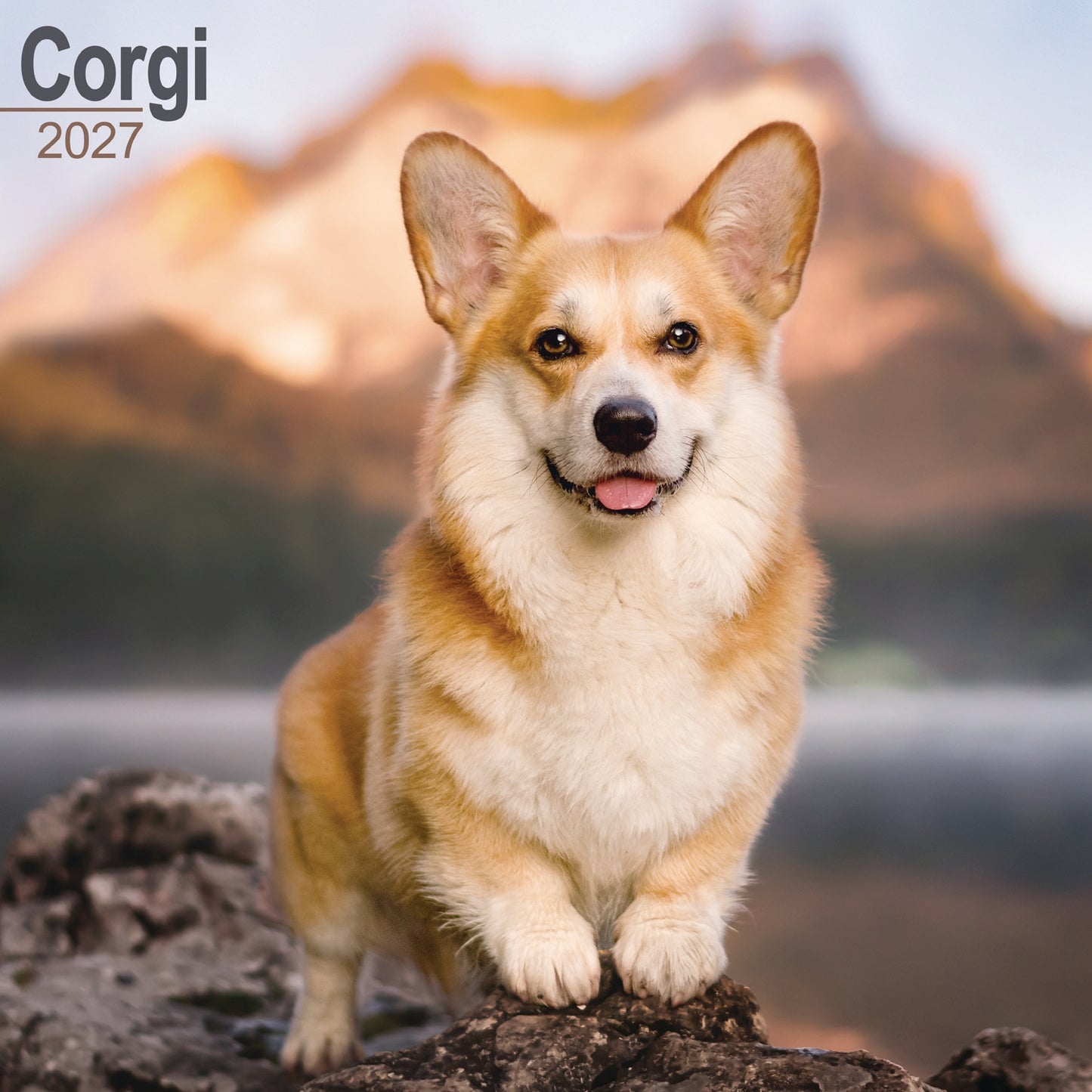 Corgi Wall Calendar 2027