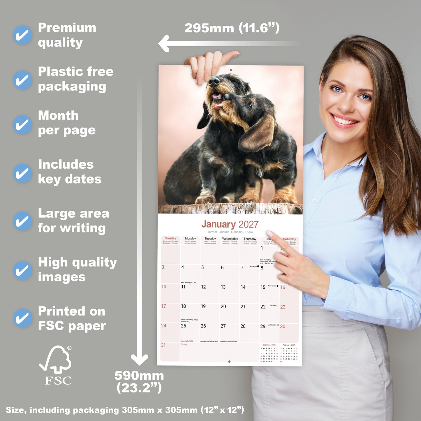 Dachshunds Wirehaired Wall Calendar 2027