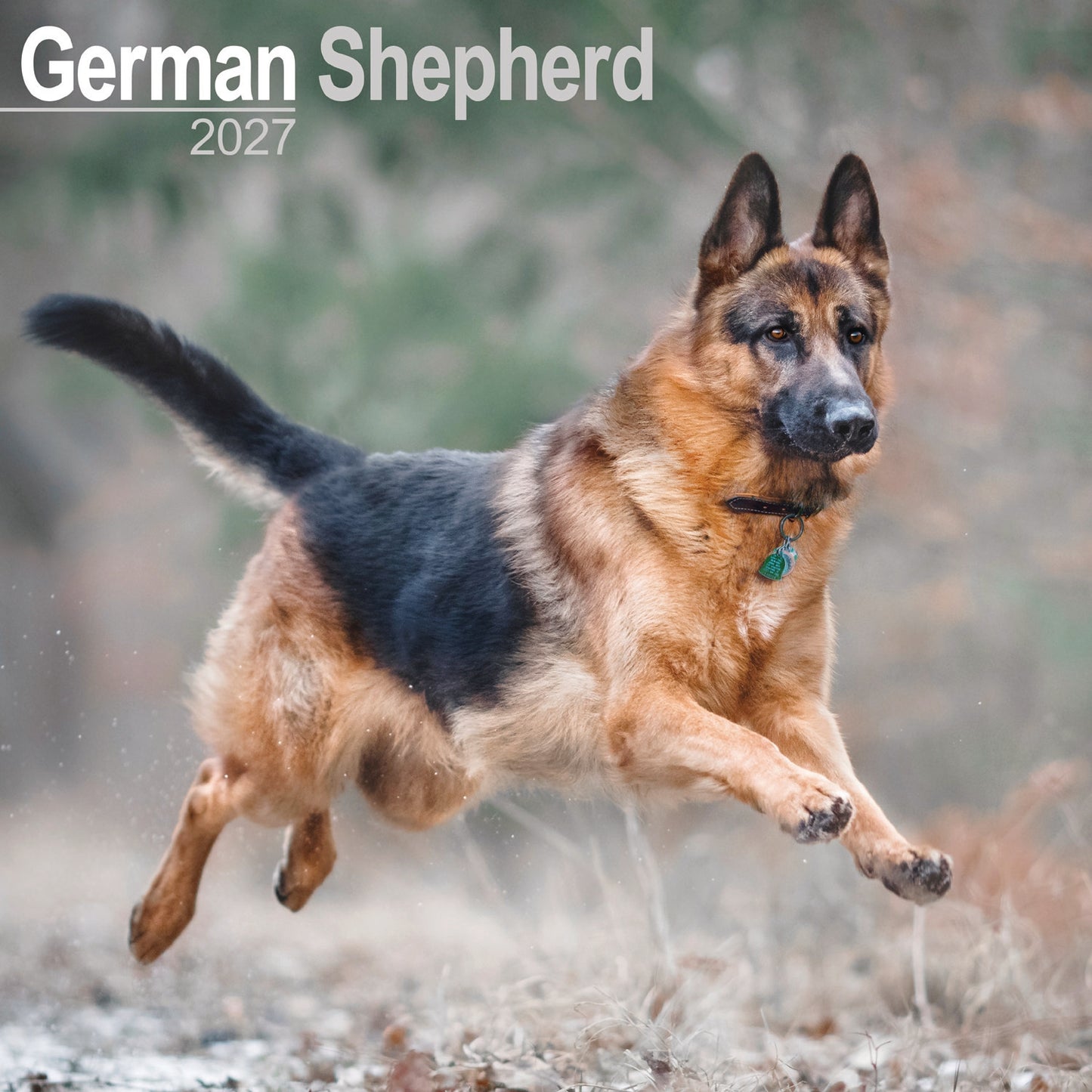 German Shepherds Wall Calendar 2027