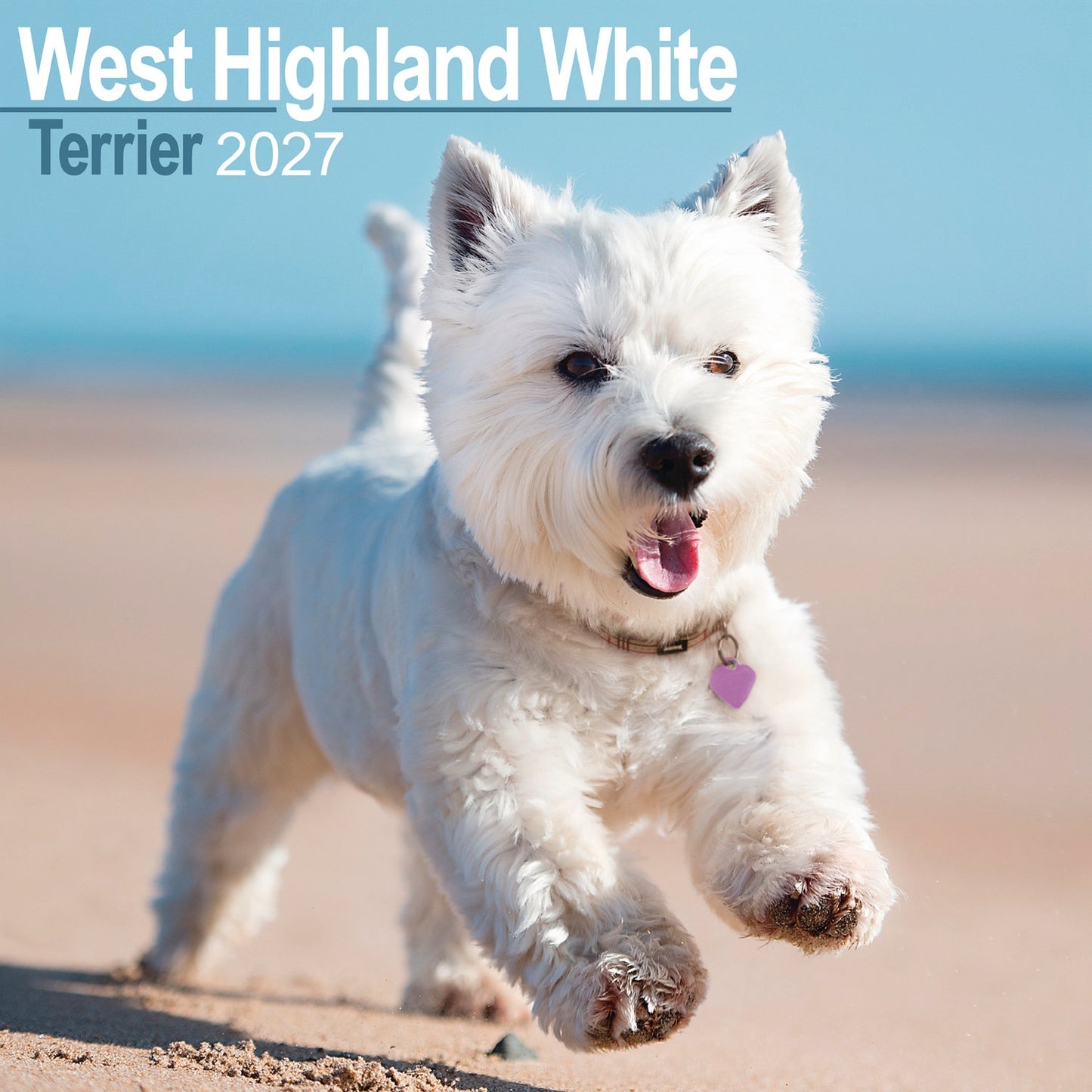 West Highland White Terrier Wall Calendar 2027