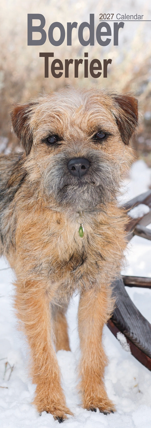 Border Terrier Slim Calendar 2027