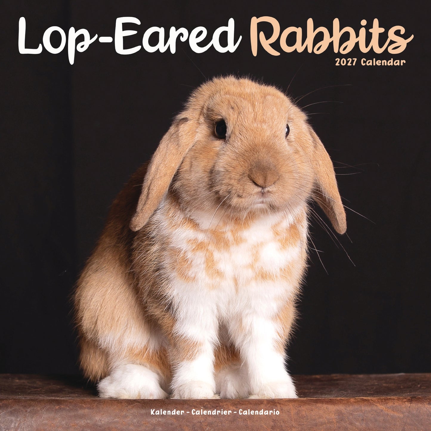Lop eared Rabbits Wall Calendar 2027