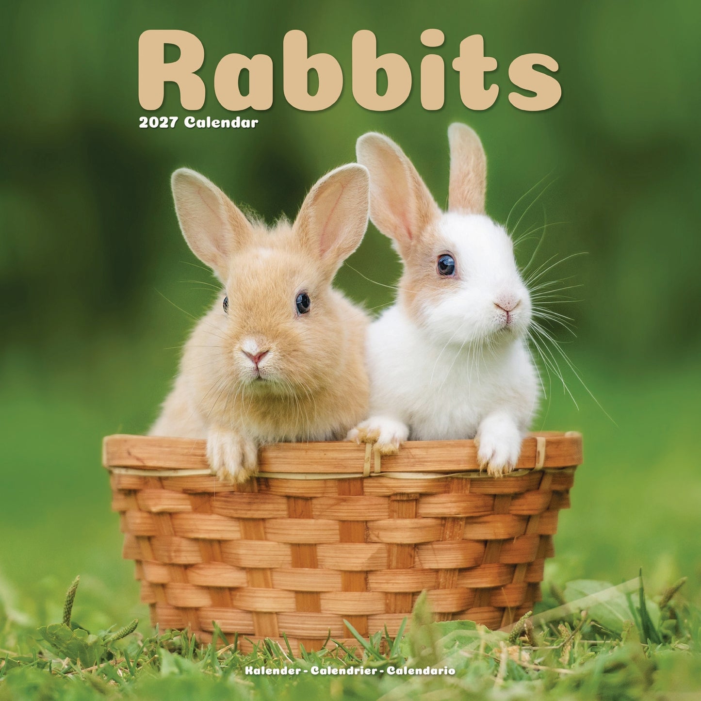 Rabbits Wall Calendar 2027