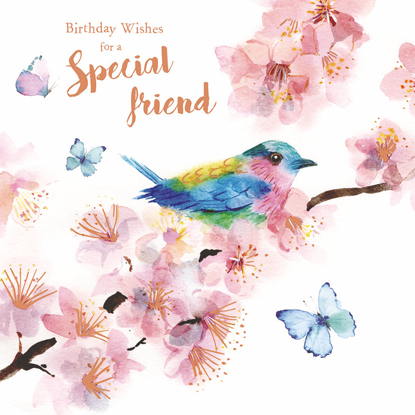 Birthday Treats Card Collection - Birds & Blossom