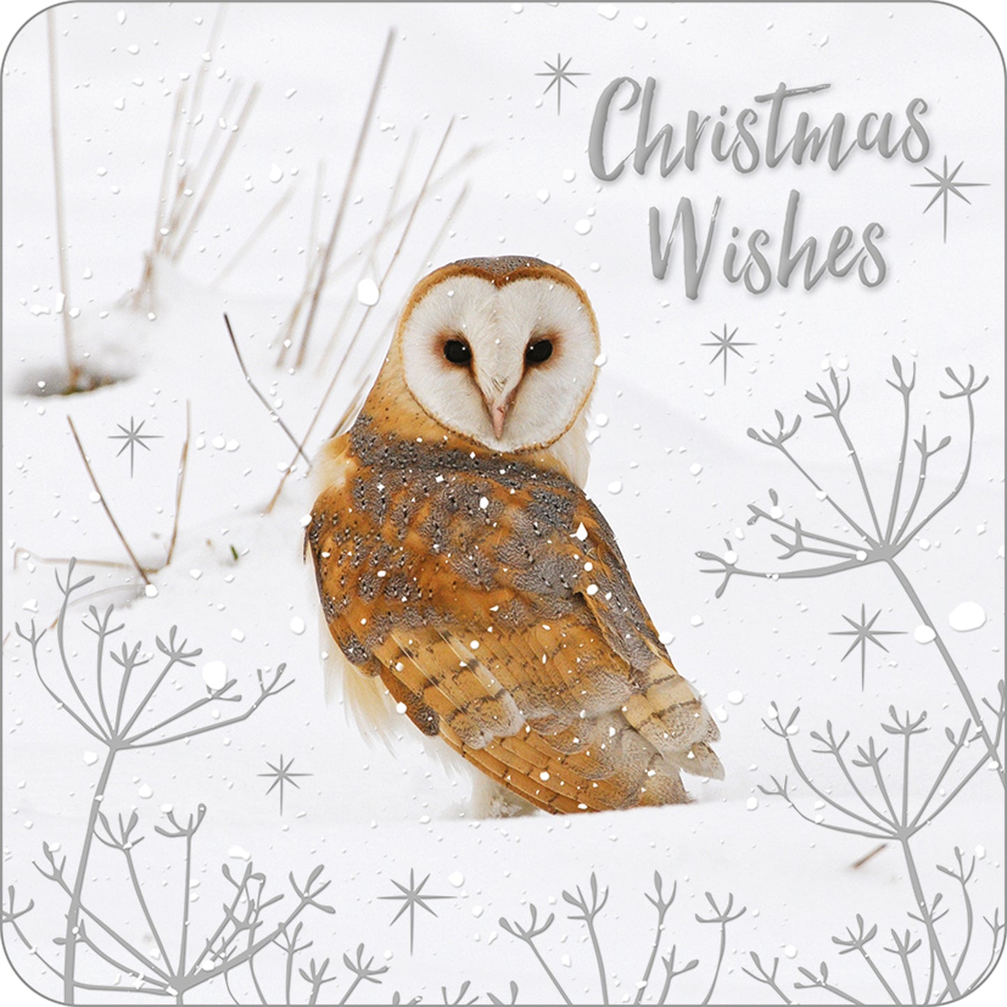 RSPB Luxury Christmas Cards (10 Cards) - Winter Wonder