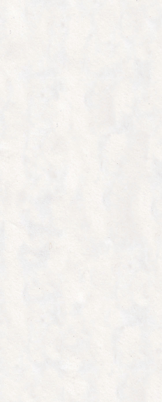 Tissue Pack - White (5 Sheets)