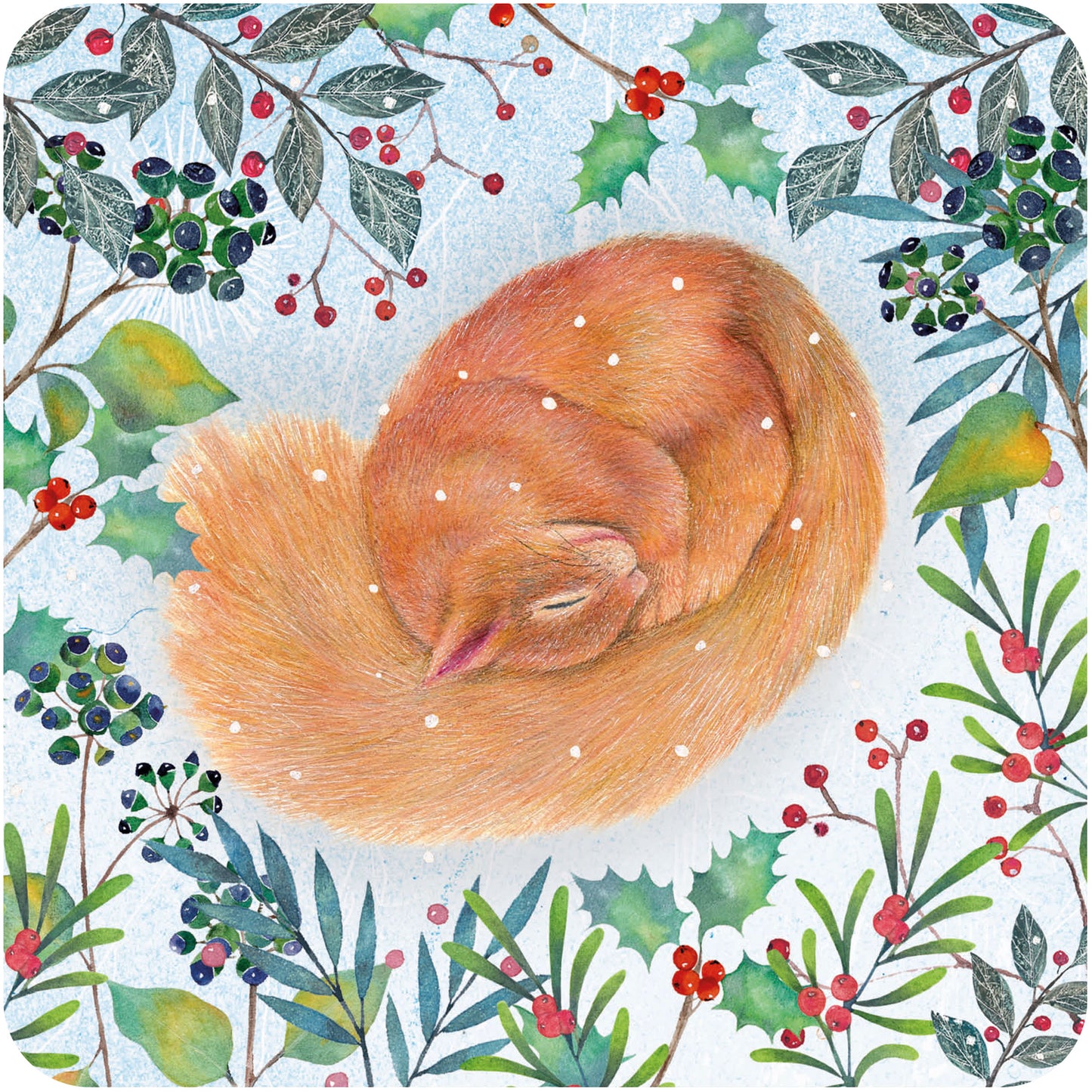 RSPB Luxury Christmas Card Twin Pack (10 Cards) - Fox & Squirrel