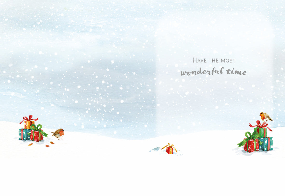 Christmas Card (Single) - Special Couple - Two Donkeys