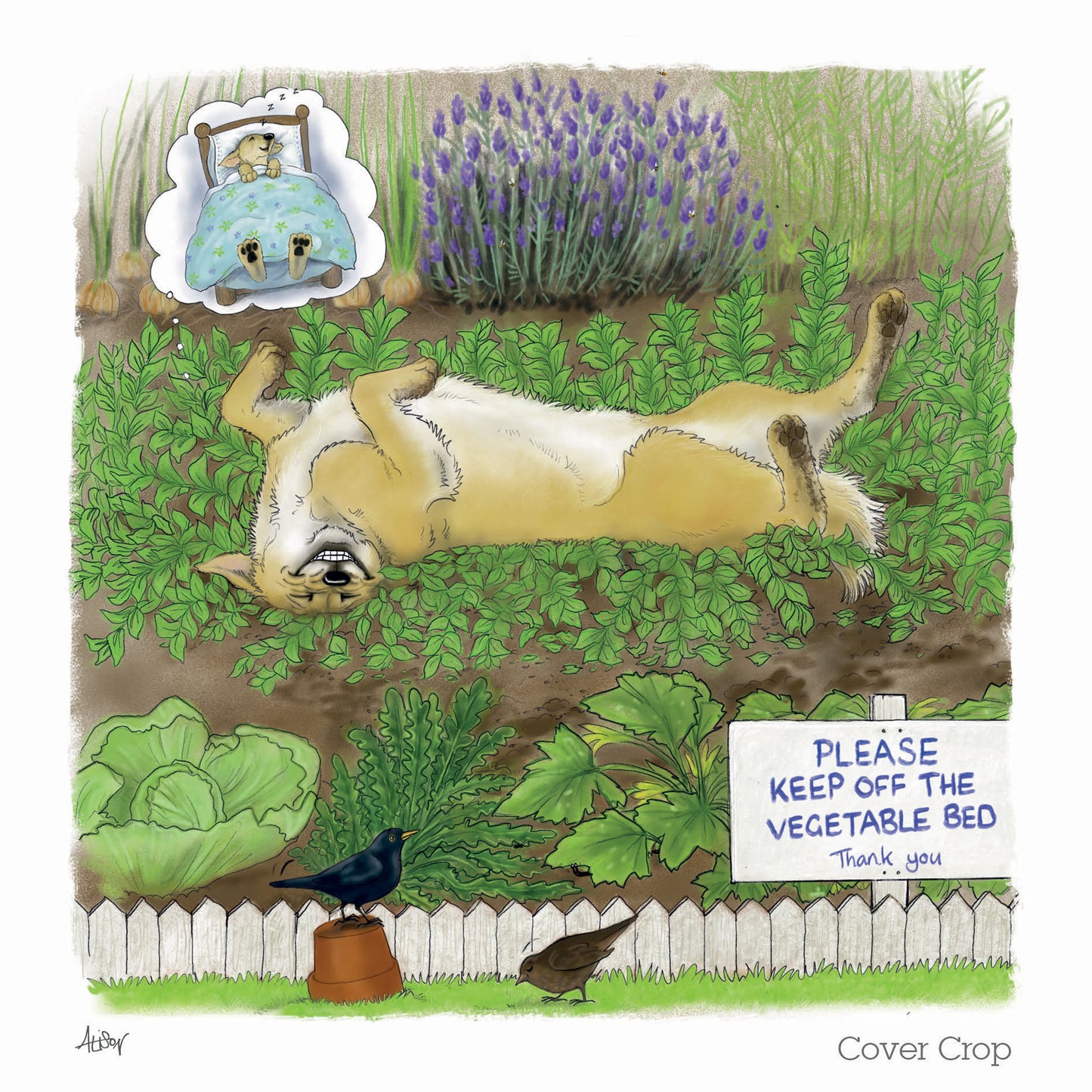 Alison's Animals Card - Garden Antics - Cover Cop