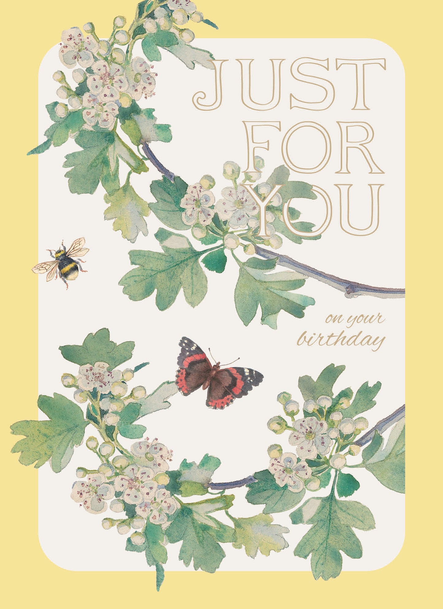 Edith Holden A Country Diary Card Collection - Just for You