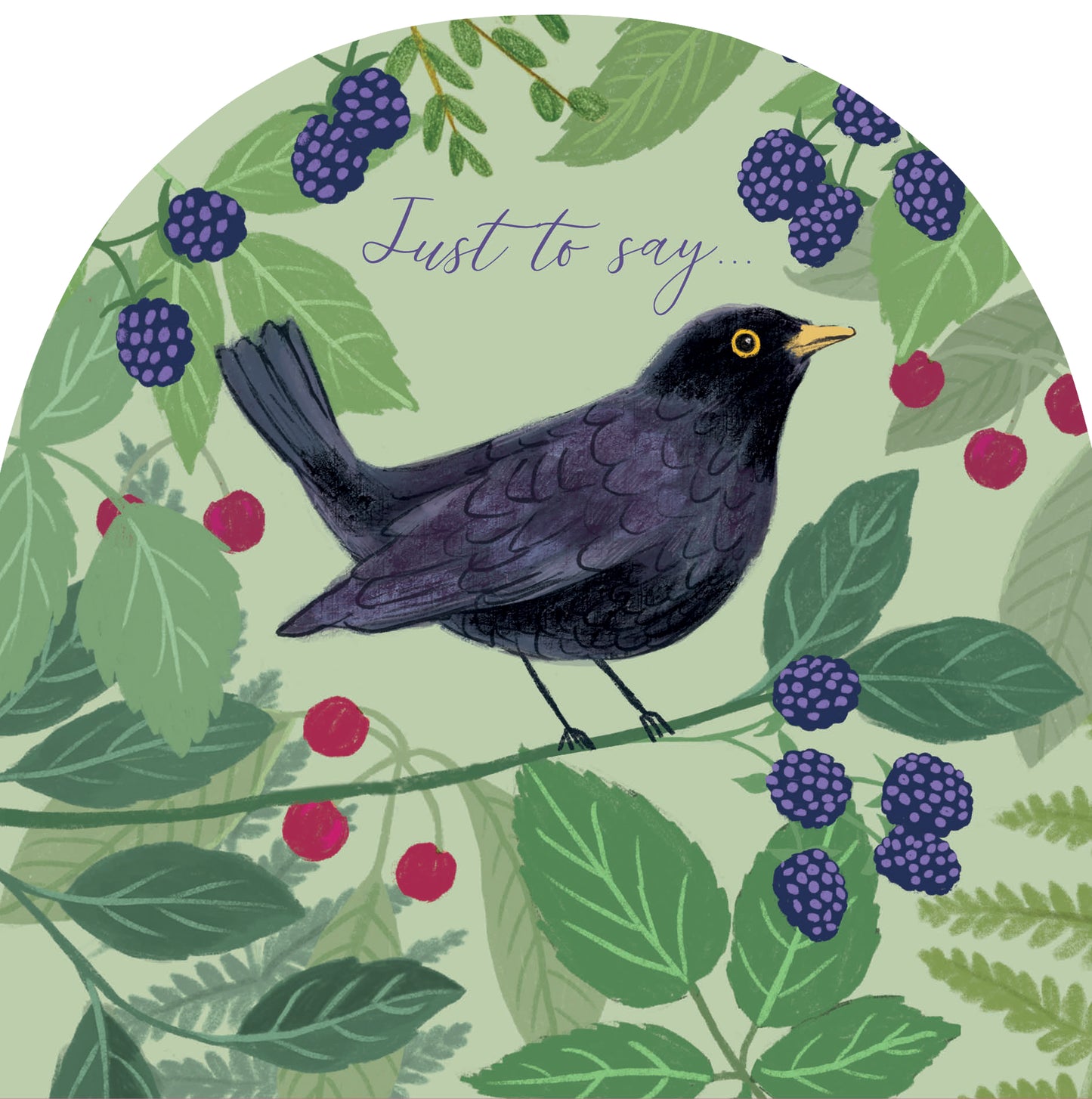 RSPB White Blossom Card - Blackbird & Berries