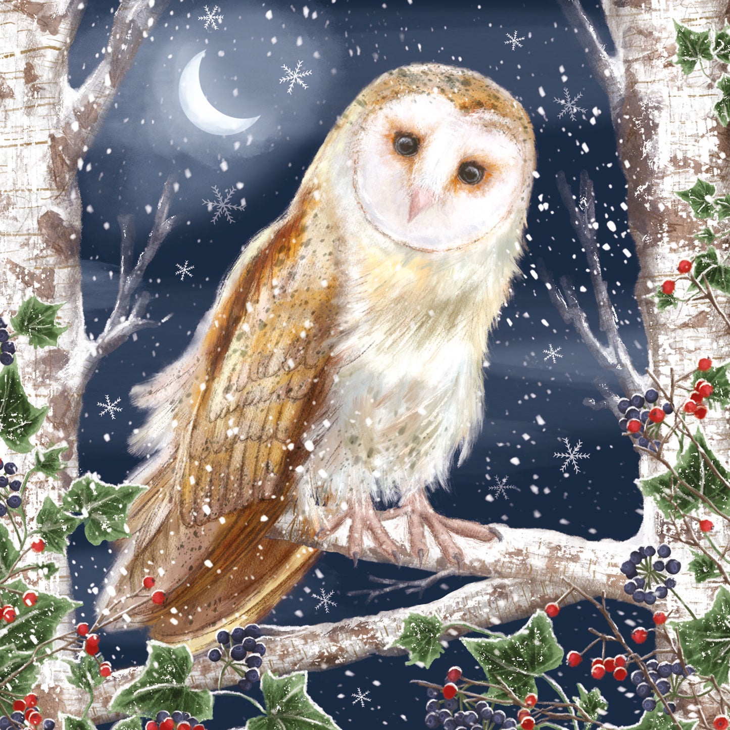 Charity Christmas 10 Card Pack - Moonlight Owl