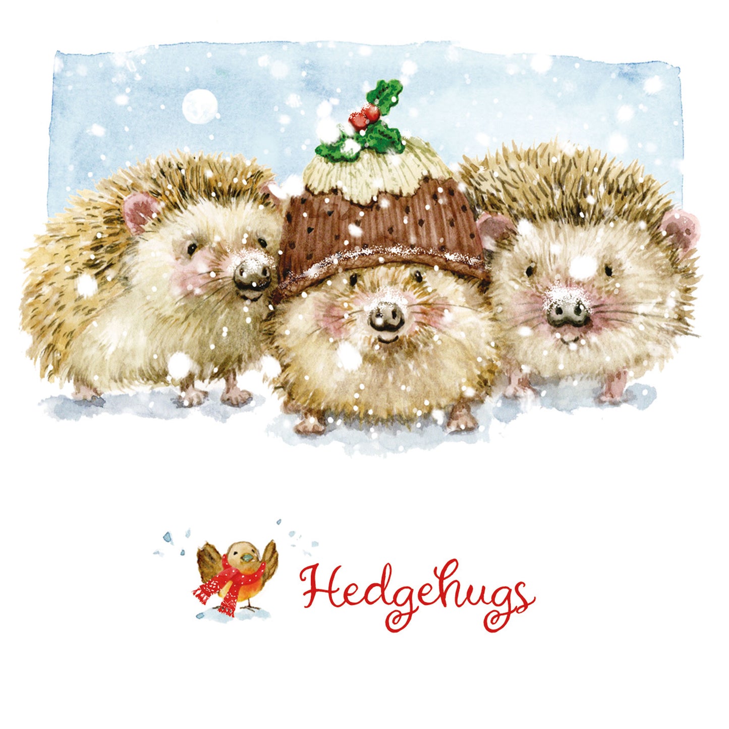 Charity Christmas 10 Card Pack - Hedgehugs