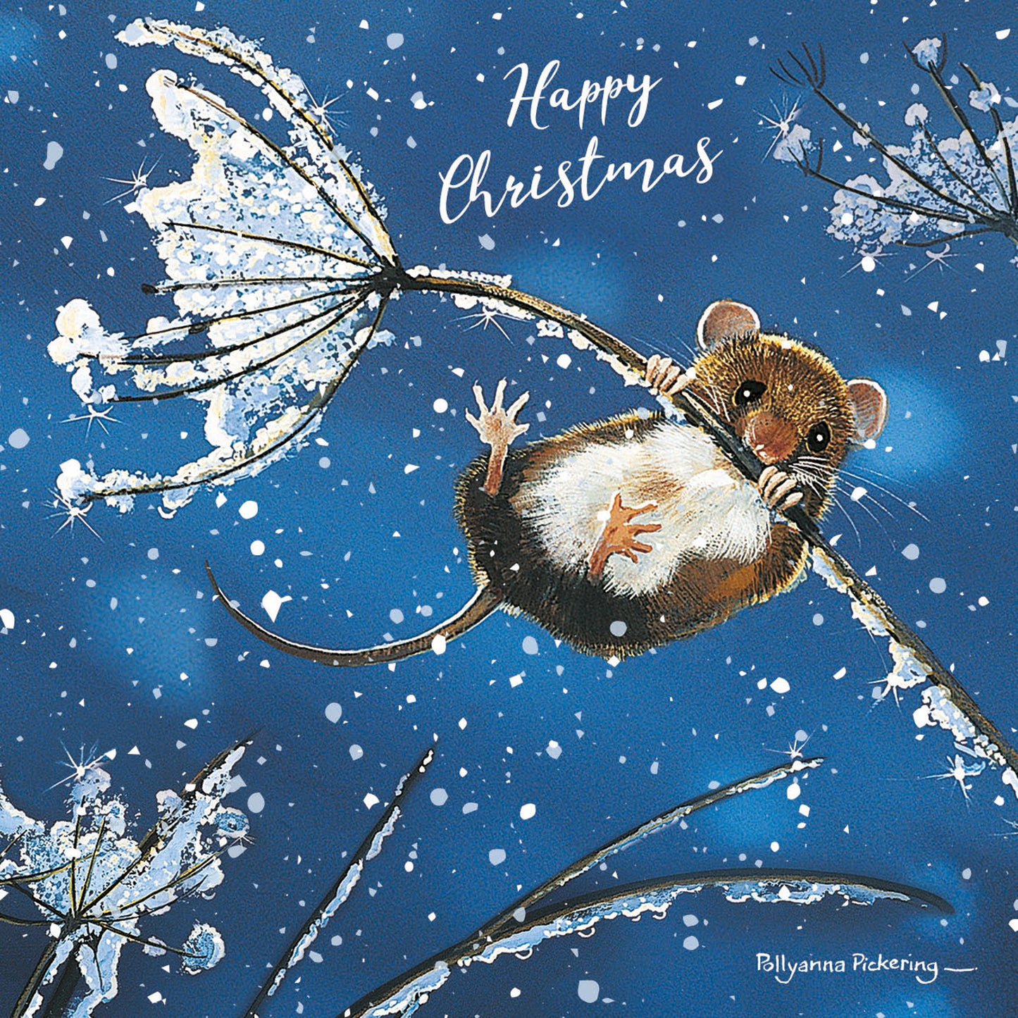 RSPB Small Christmas Cards (10 Cards) - Cow Parsley Mouse