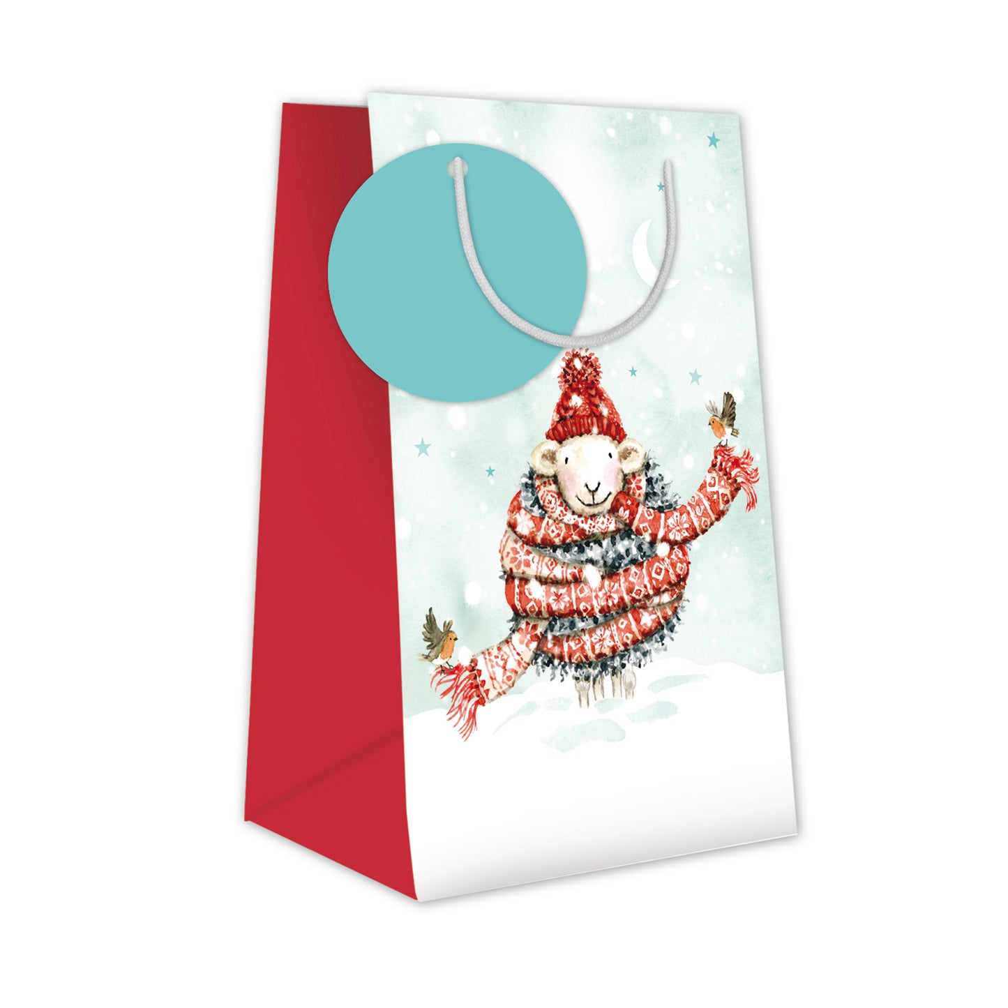 Xmas Gift Bag (Small) - Wrapped Up!