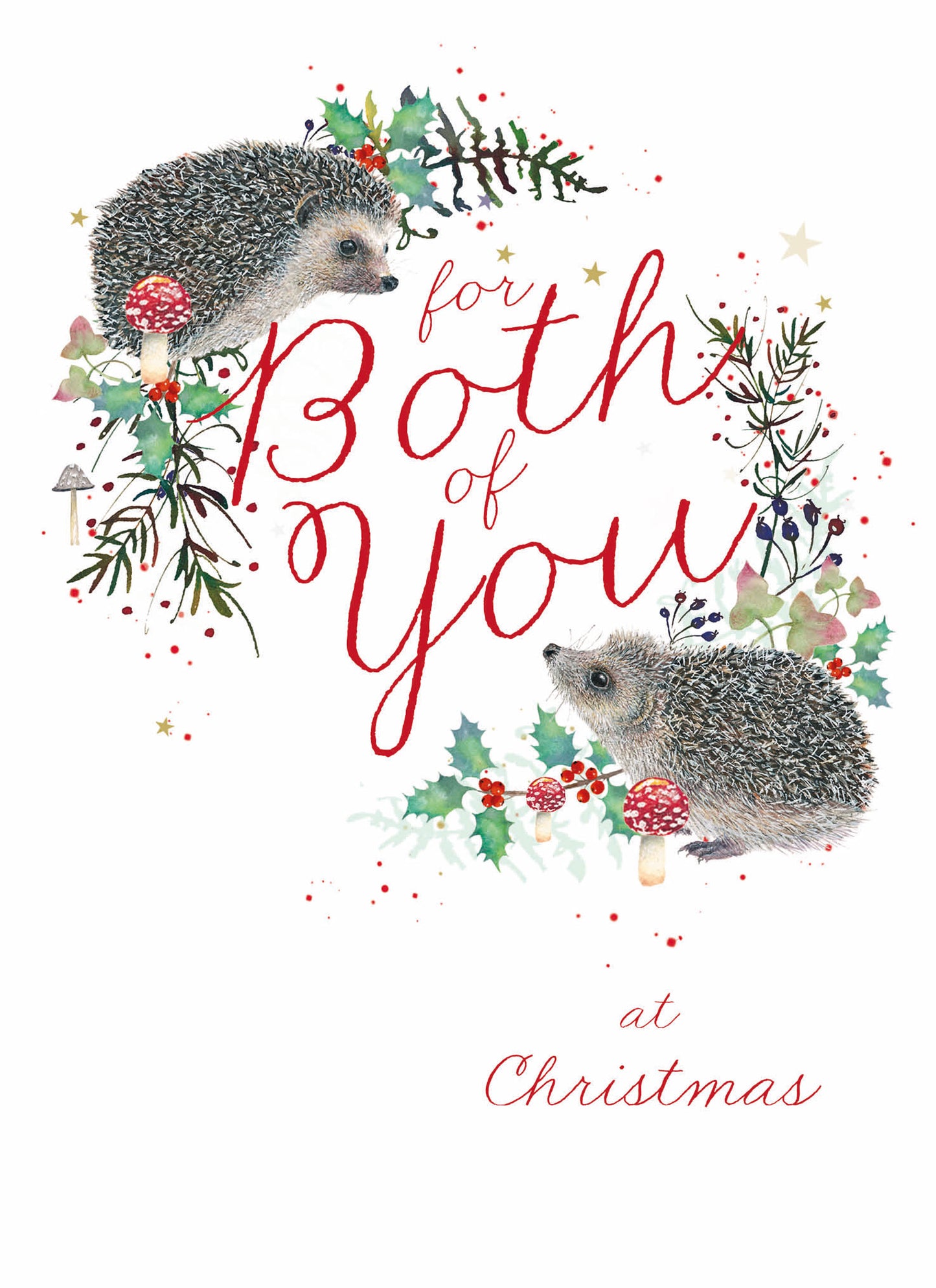 Christmas Card (Single) - Both Of You - Hedgehogs