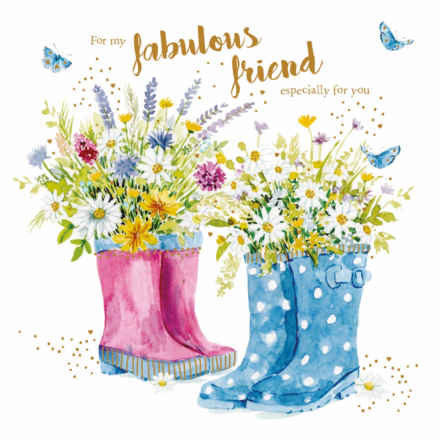Birthday Treats Card Collection - Wellies