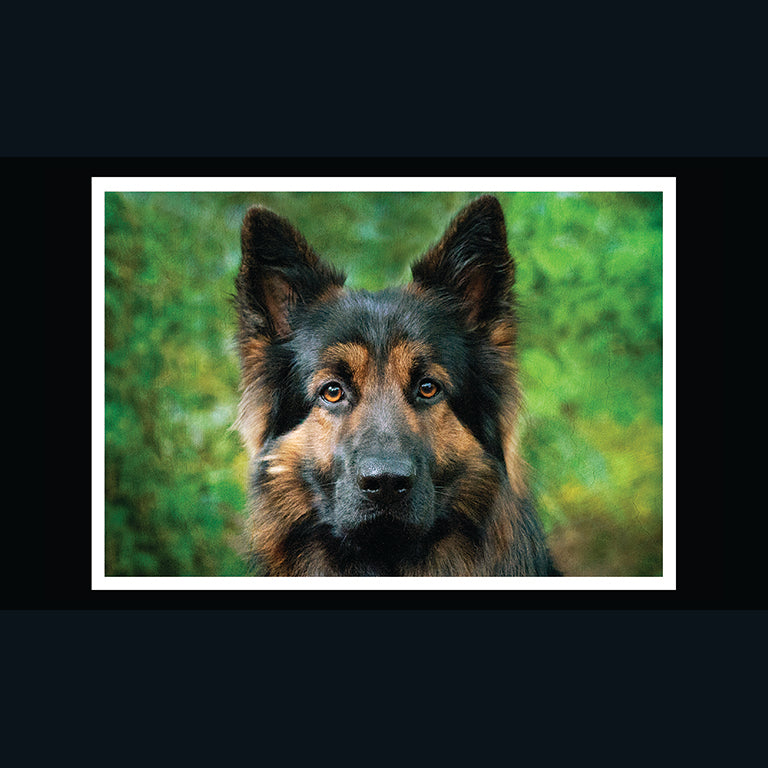 Barking at the Moon Card - German Shepherd (Splimple)