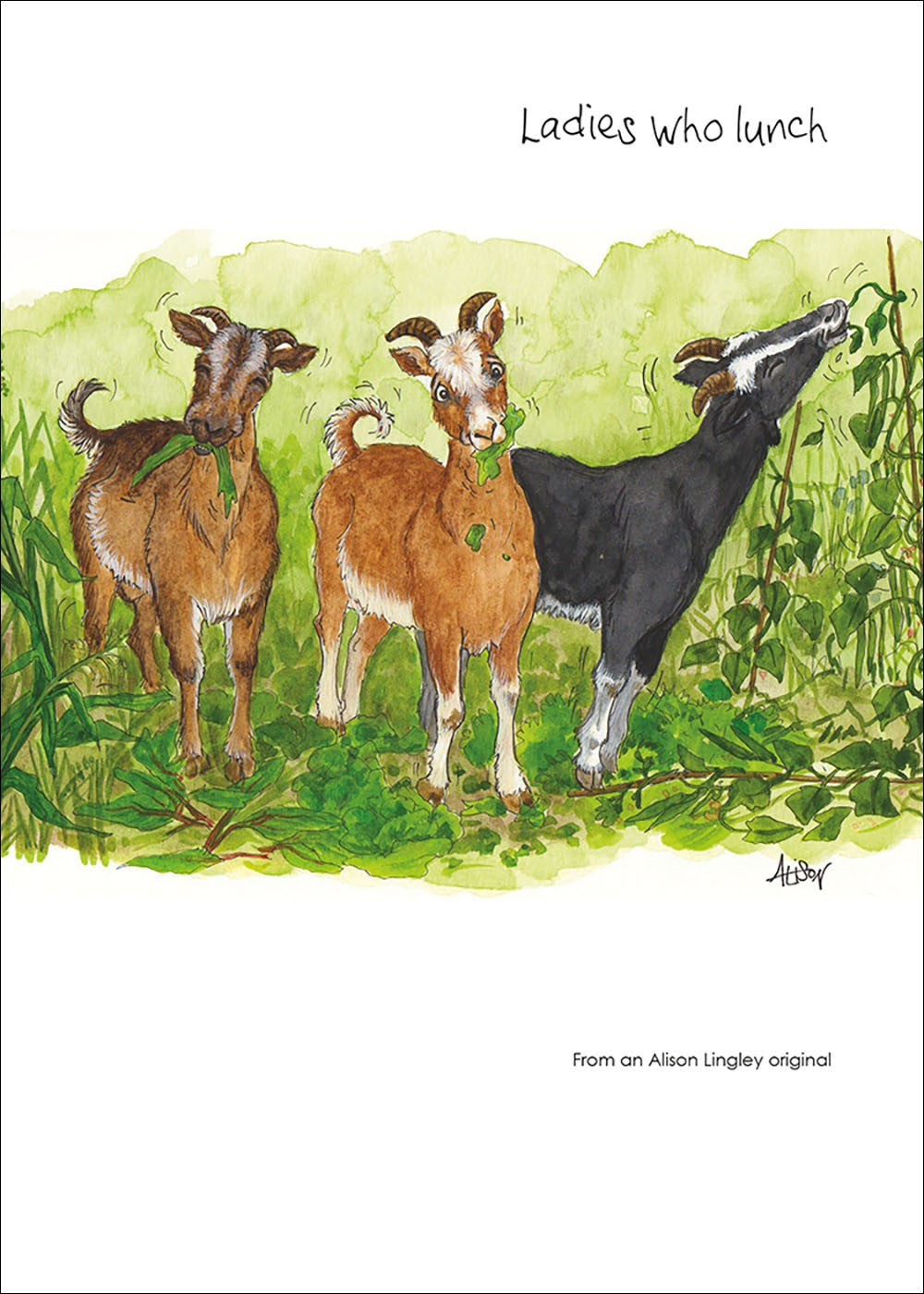 Alisons Animals Card - Ladies Who Lunch (Splimple - 5X7)