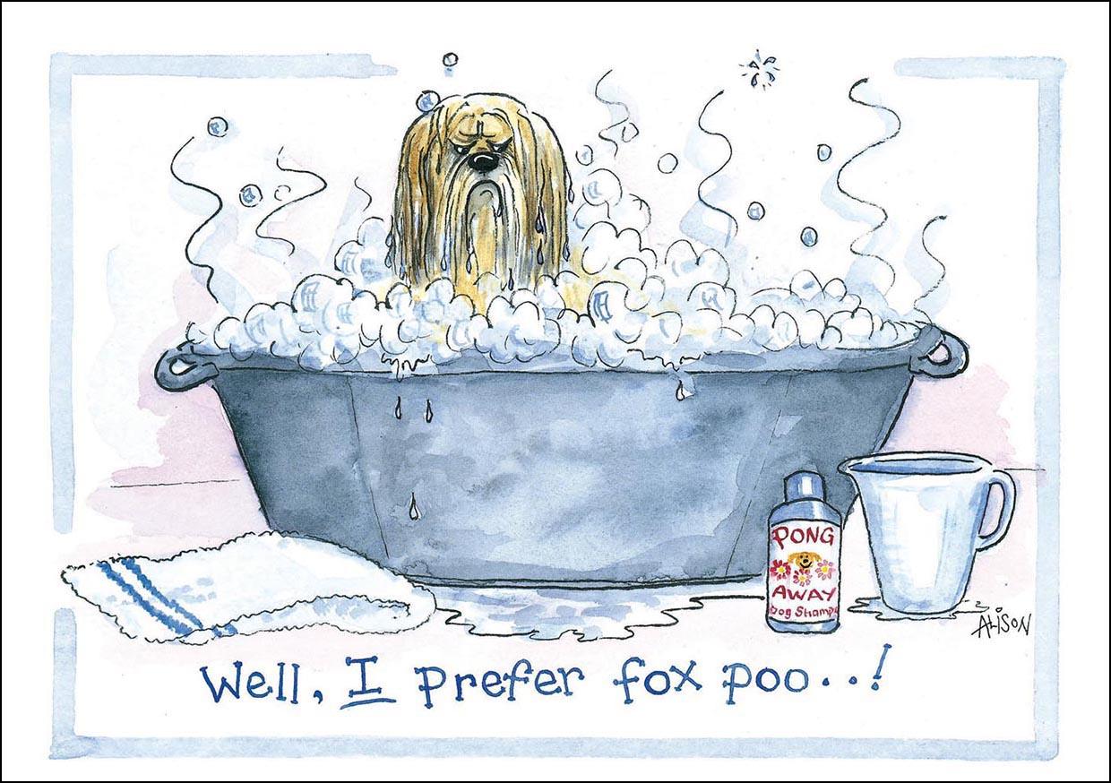 Alison's Animals Card - Well, I prefer fox poo! (Splimple - 150x210mm)