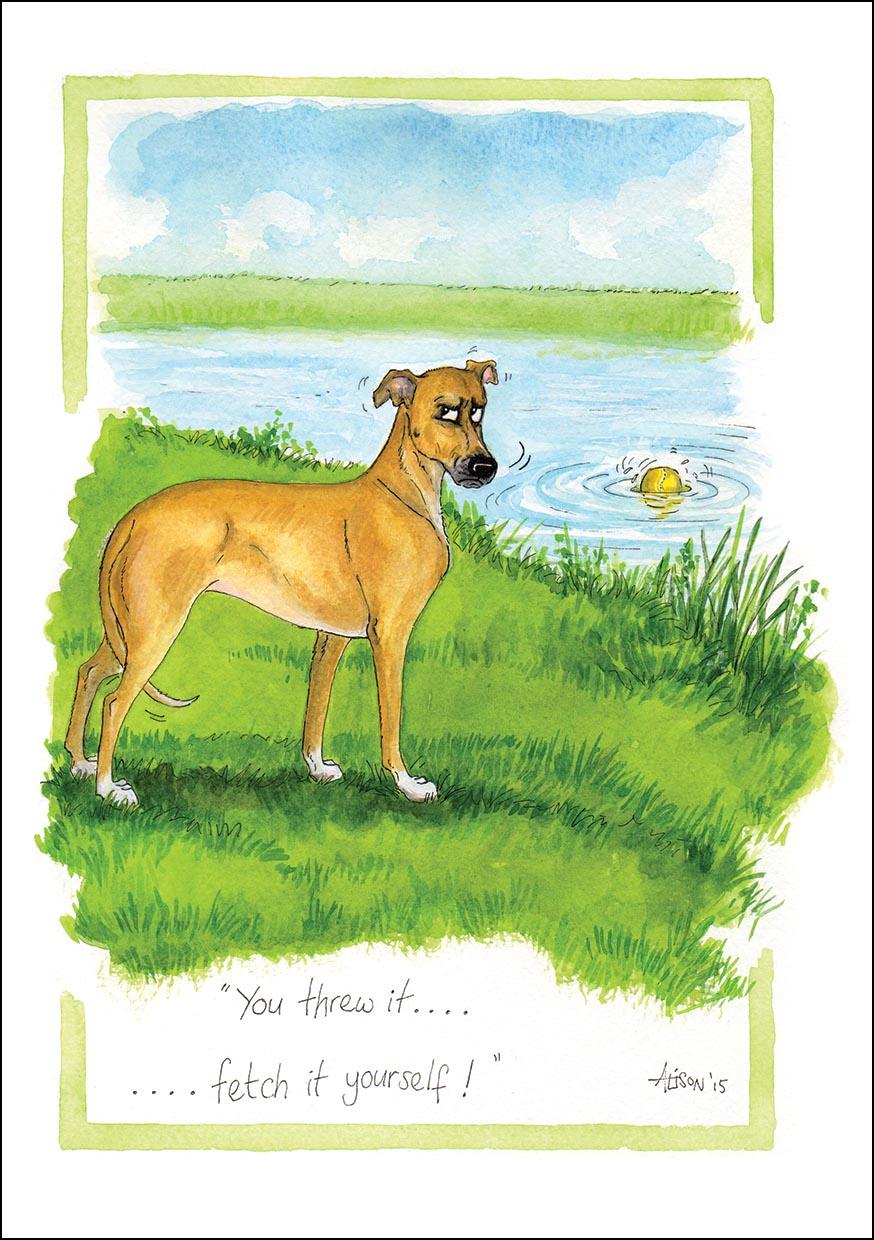 Alison's Animals Card - You threw it ? (Splimple - 150x210mm)