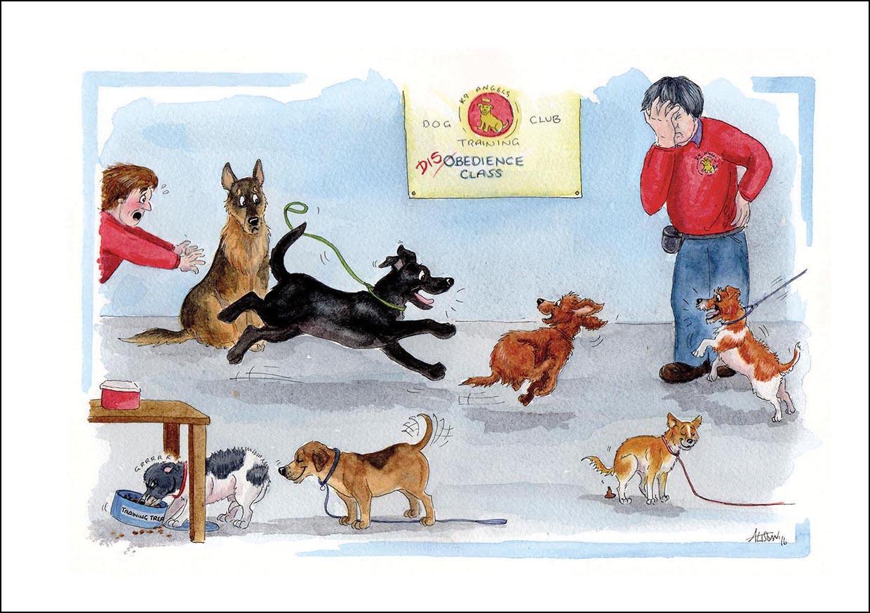 Alison's Animals Card - Disobedience class (Splimple - 150x210mm)