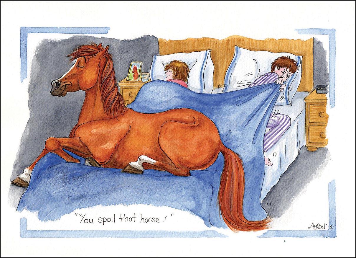 Alison's Animals Card - You spoil that horse (Splimple - 150x210mm)