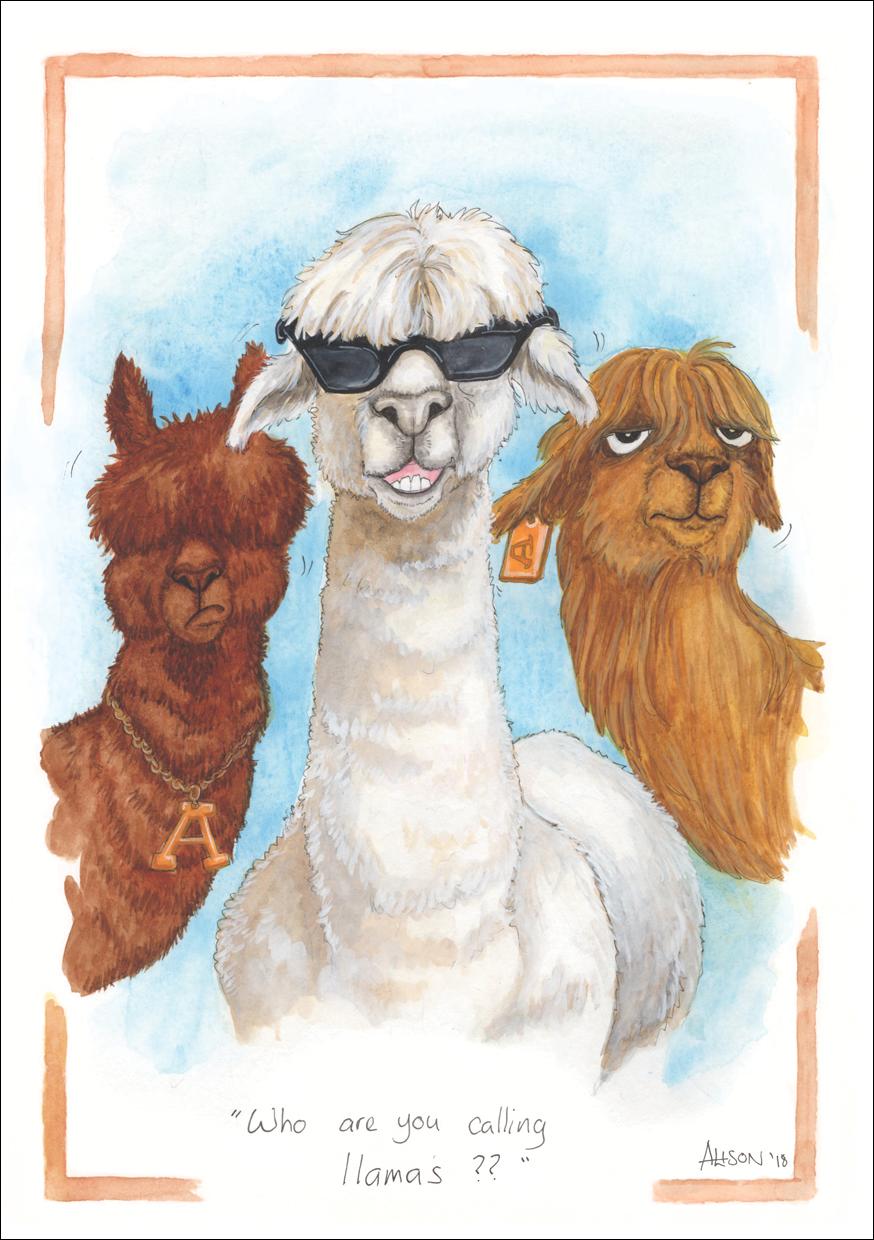 Alison's Animals Card - Who are you calling Llamas? (Splimple - 150x210mm)