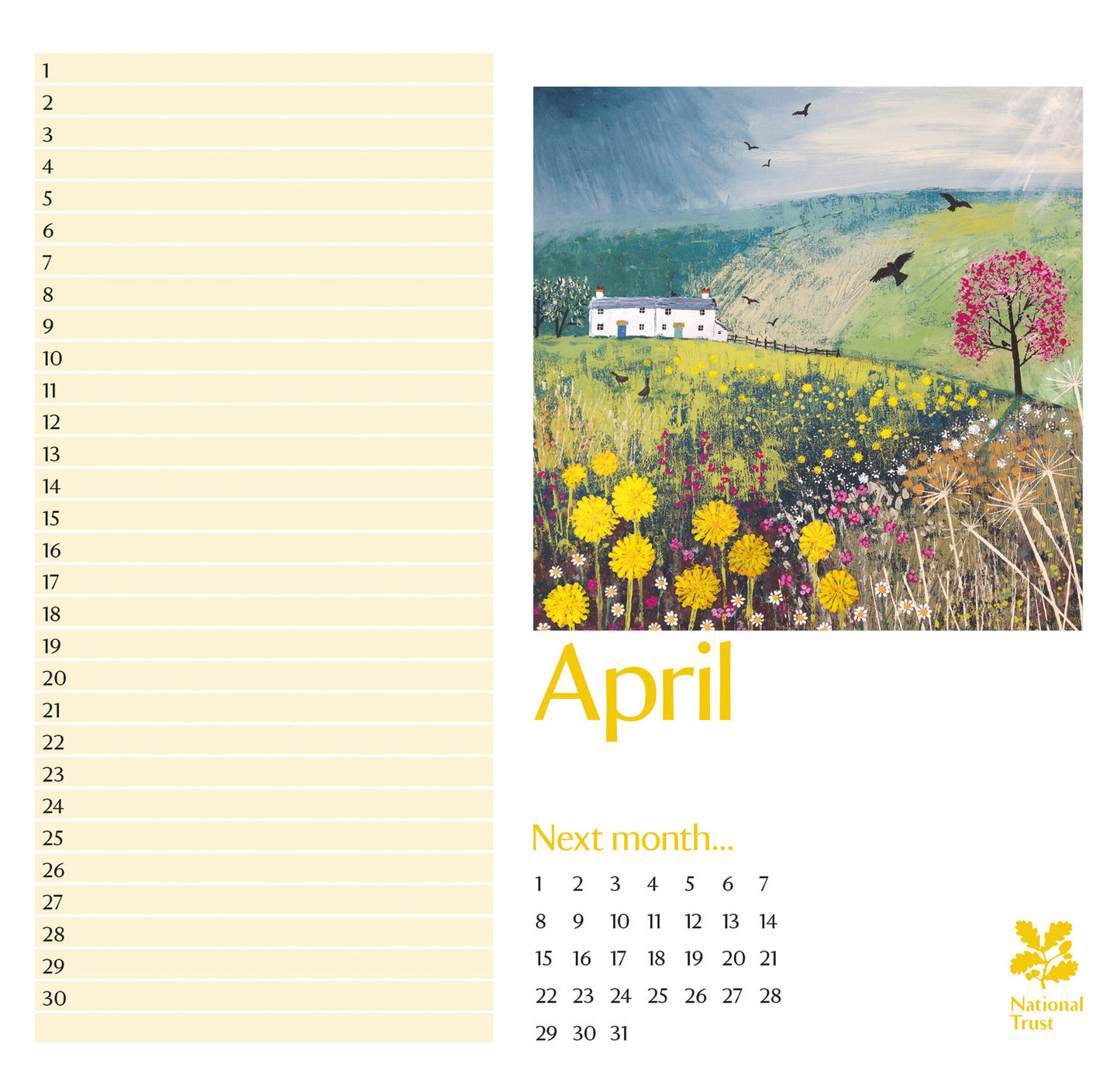 National Trust, Jo Grundy Birthday Midi Calendar 2027 (PFP)