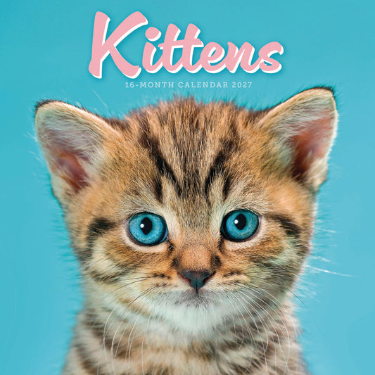 Kittens Mini Calendar 2027