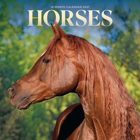 Horses Mini Calendar 2027