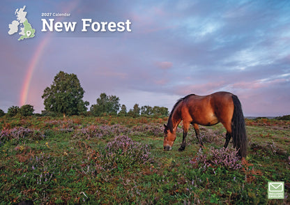 New Forest A4 Calendar 2027